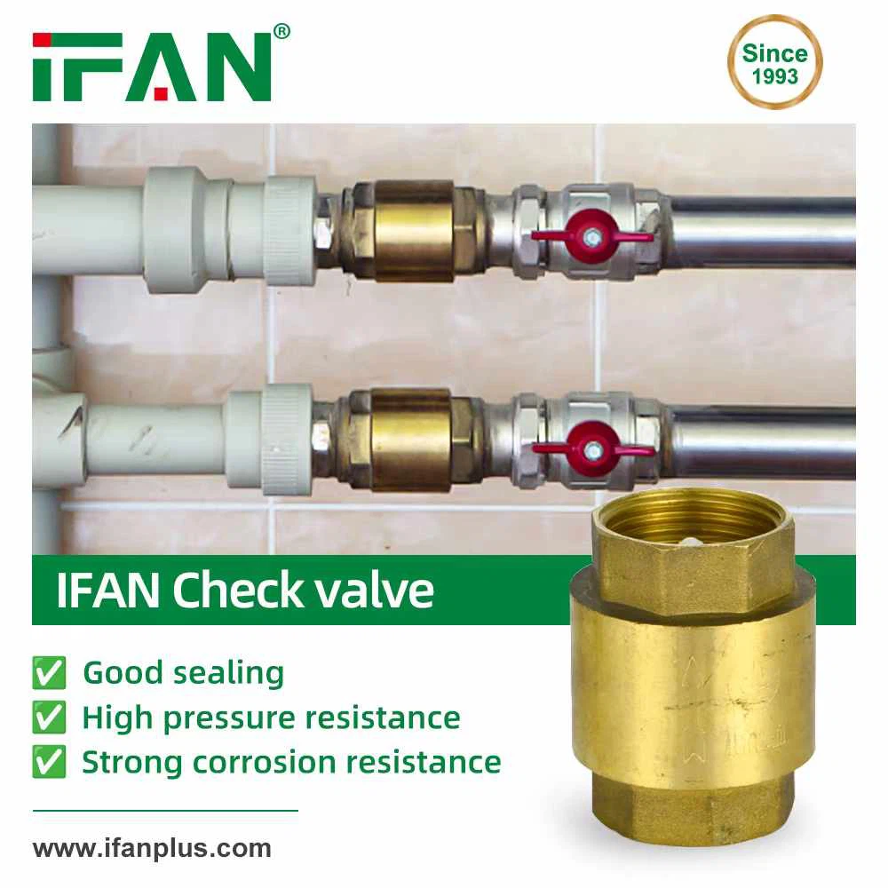 IFAN Check valve IFAN Check valve